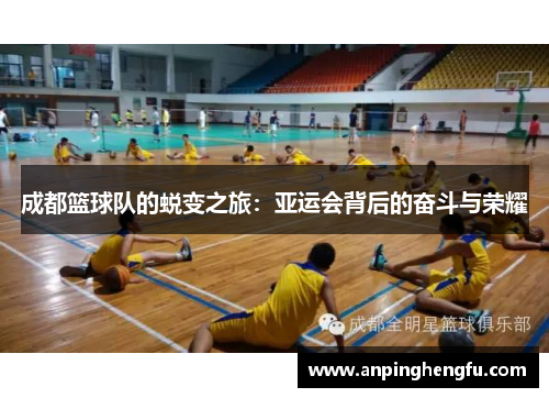 成都篮球队的蜕变之旅：亚运会背后的奋斗与荣耀