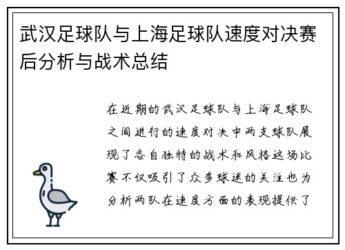 武汉足球队与上海足球队速度对决赛后分析与战术总结